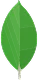 MongoDB
