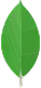 MongoDB Icon