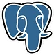 PostgreSQL Icon