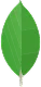 MongoDB Icon