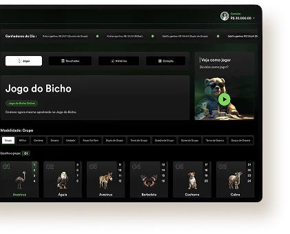 portfolio